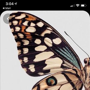 Meet your Posher, Fatima